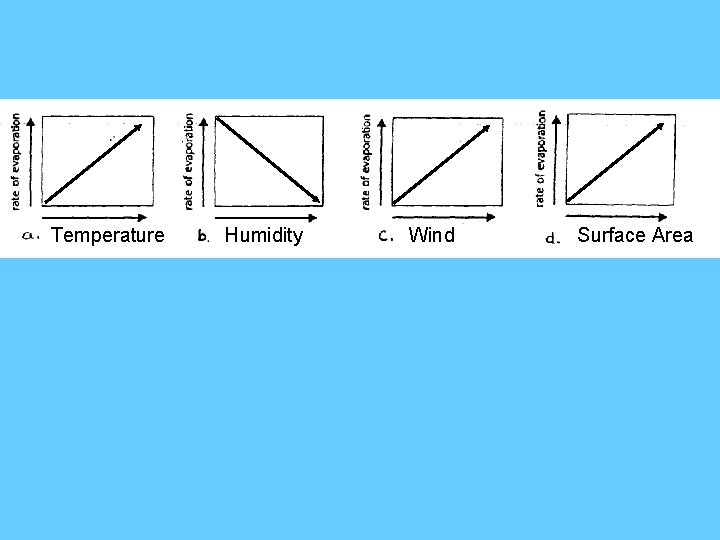 Temperature Humidity Wind Surface Area 