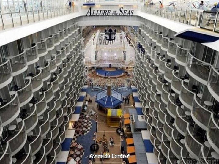 Avenida Central www. vitanoblepowerpoints. net 