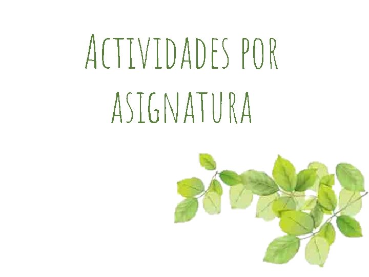 Actividades por asignatura 