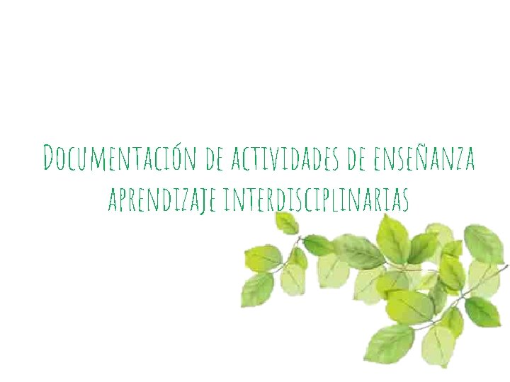 Documentación de actividades de enseñanza aprendizaje interdisciplinarias 