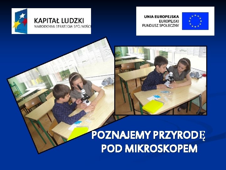 POZNAJEMY PRZYRODĘ POD MIKROSKOPEM 