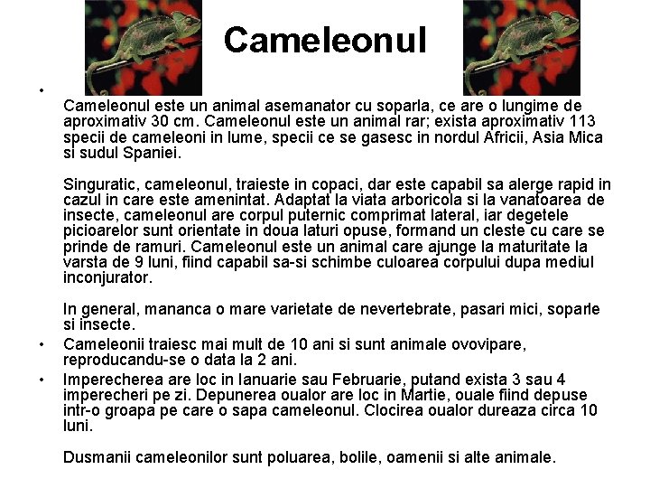 Cameleonul • Cameleonul este un animal asemanator cu soparla, ce are o lungime de