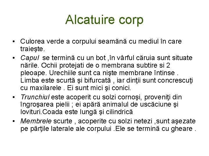Alcatuire corp • Culorea verde a corpului seamănă cu mediul în care traieşte. •