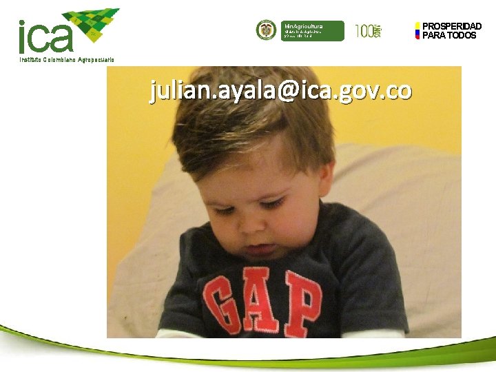 ca Min. Agricultura Ministerio de Agricultura y Desarrollo Rural Instituto Colombiano Agropecuario julian. ayala@ica.