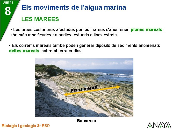 UNITAT 8 Els moviments de l'aigua marina LES MAREES • Les àrees costaneres afectades
