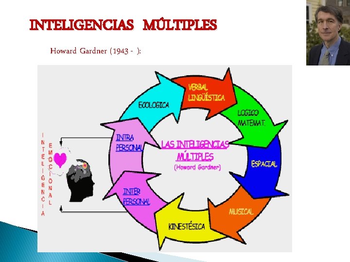 INTELIGENCIAS MÚLTIPLES Howard Gardner (1943 - ): 