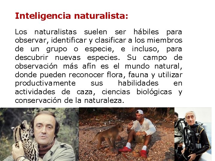 Inteligencia naturalista: Los naturalistas suelen ser hábiles para observar, identificar y clasificar a los