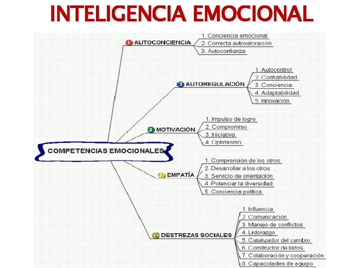 INTELIGENCIA EMOCIONAL 