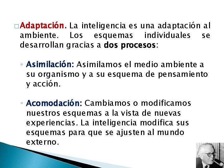 � Adaptación. La inteligencia es una adaptación al ambiente. Los esquemas individuales se desarrollan