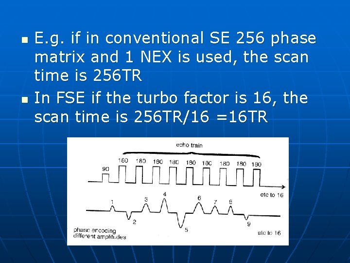 n n E. g. if in conventional SE 256 phase matrix and 1 NEX