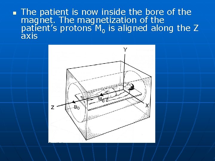 n The patient is now inside the bore of the magnet. The magnetization of