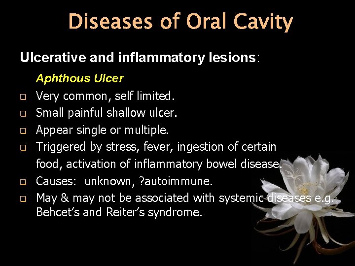 Diseases of Oral Cavity Ulcerative and inflammatory lesions: q q q Aphthous Ulcer Very