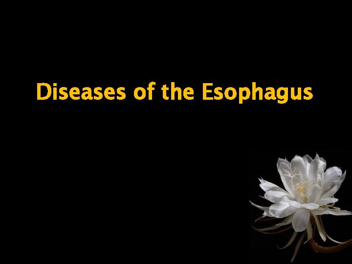 Diseases of the Esophagus 