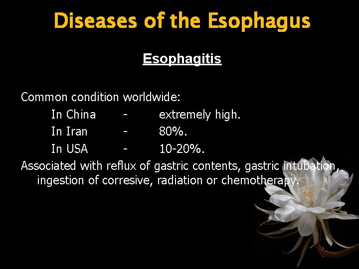 Diseases of the Esophagus Esophagitis Common condition worldwide: In China extremely high. In Iran