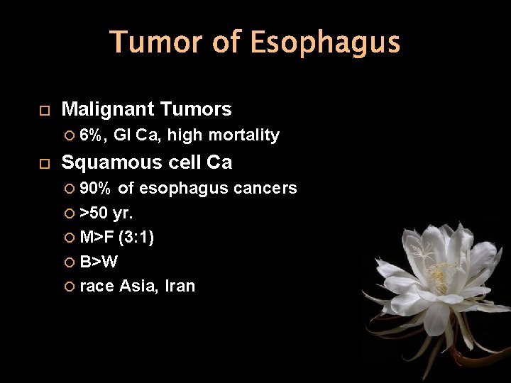 Tumor of Esophagus Malignant Tumors 6%, GI Ca, high mortality Squamous cell Ca 90%