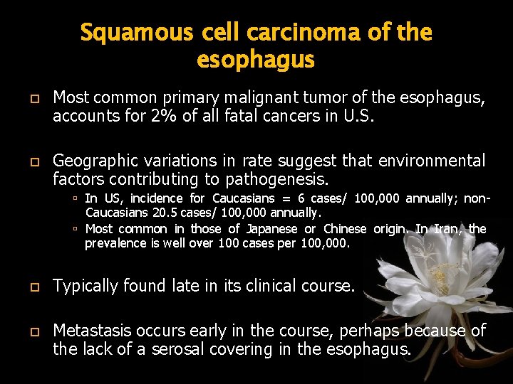 Squamous cell carcinoma of the esophagus Most common primary malignant tumor of the esophagus,