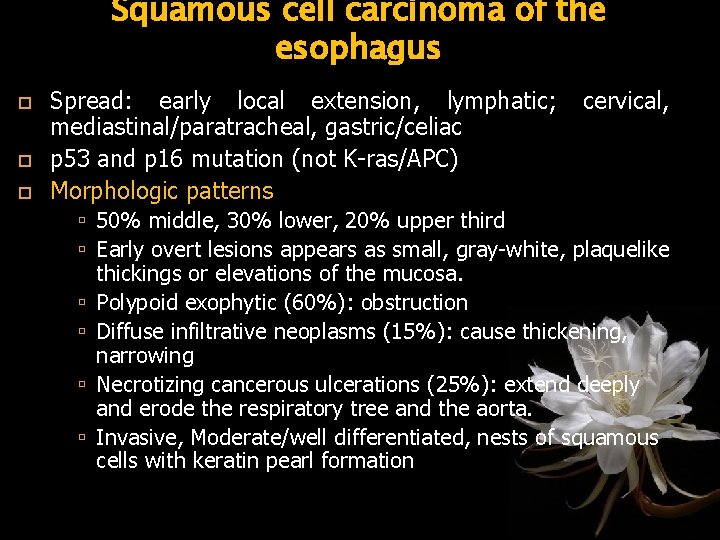 Squamous cell carcinoma of the esophagus Spread: early local extension, lymphatic; mediastinal/paratracheal, gastric/celiac p