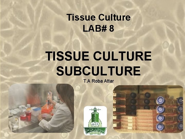 Tissue Culture LAB# 8 TISSUE CULTURE SUBCULTURE T. A Roba Attar 