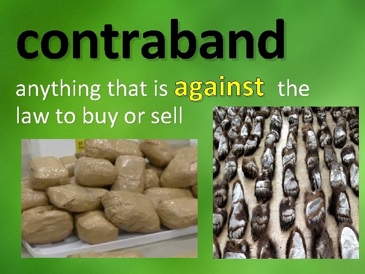 contraband anything that is against the law to buy or sell 