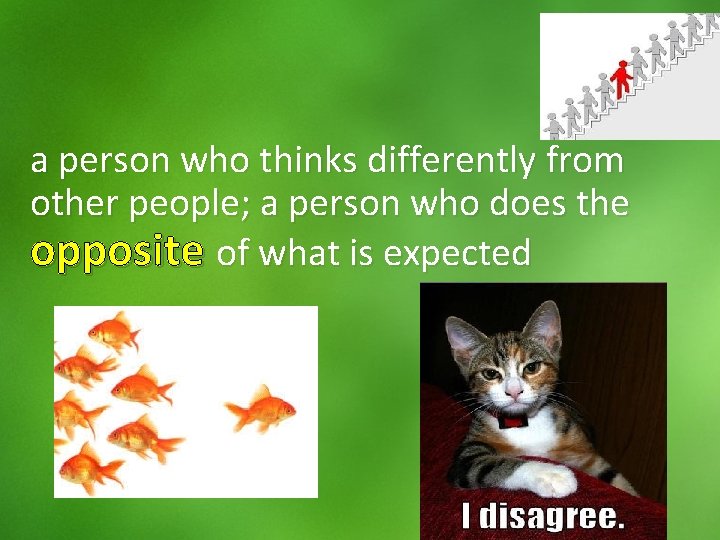 a person who thinks differently from other people; a person who does the opposite