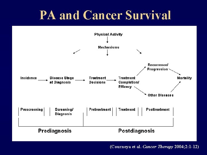 PA and Cancer Survival (Courneya et al. Cancer Therapy 2004; 2: 1 -12) 