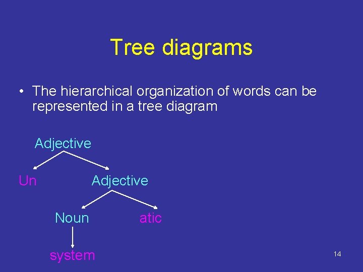 Tree diagrams • The hierarchical organization of words can be represented in a tree