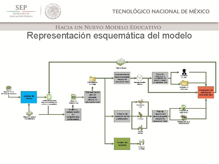 Representación esquemática del modelo 