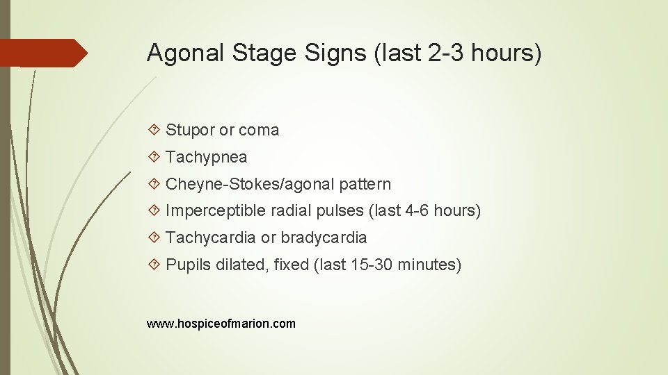 Agonal Stage Signs (last 2 -3 hours) Stupor or coma Tachypnea Cheyne-Stokes/agonal pattern Imperceptible