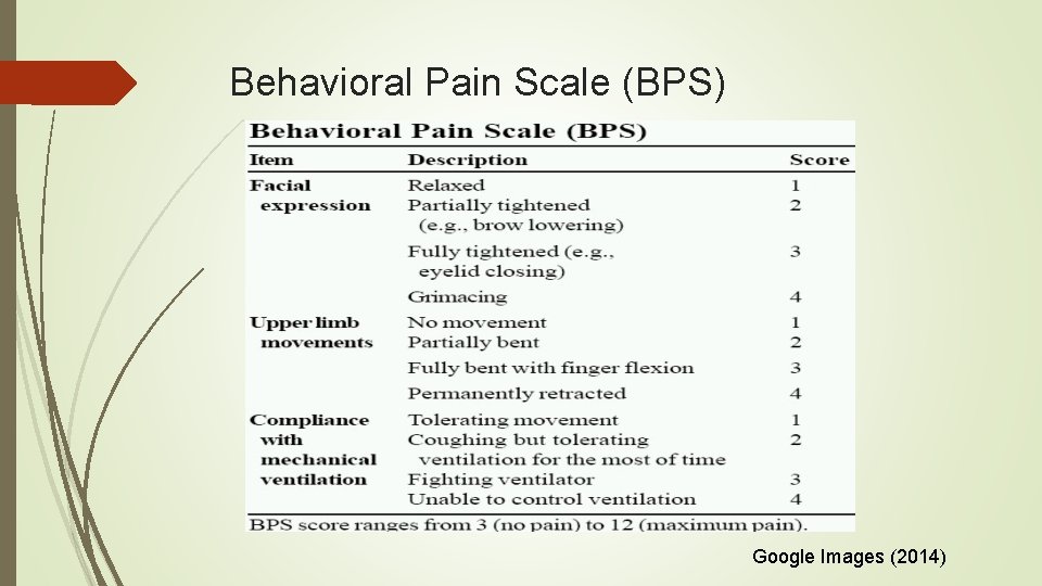 Behavioral Pain Scale (BPS) Google Images (2014) 