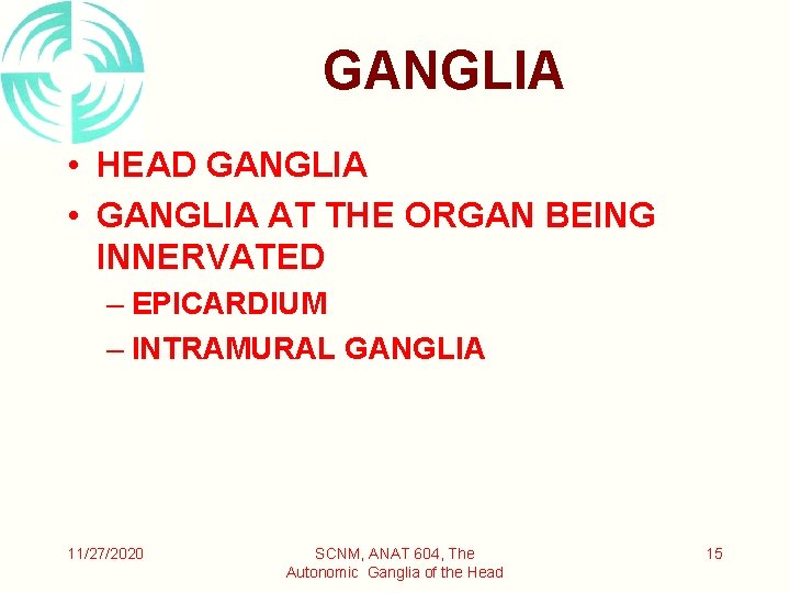 GANGLIA • HEAD GANGLIA • GANGLIA AT THE ORGAN BEING INNERVATED – EPICARDIUM –