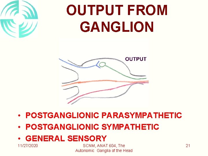 OUTPUT FROM GANGLION • POSTGANGLIONIC PARASYMPATHETIC • POSTGANGLIONIC SYMPATHETIC • GENERAL SENSORY 11/27/2020 SCNM,