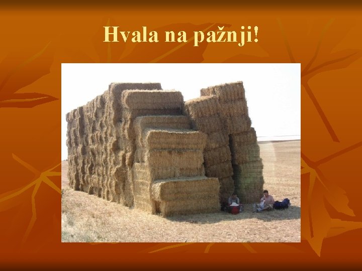 Hvala na pažnji! 