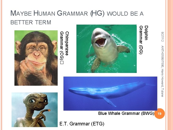 MAYBE HUMAN GRAMMAR (HG) WOULD BE A E. T. Grammar (ETG) ANTH 3590/7590, Harry MAYBE HUMAN GRAMMAR (HG) WOULD BE A E. T. Grammar (ETG) ANTH 3590/7590, Harry