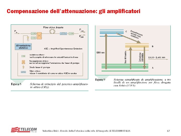 Compensazione dell’attenuazione: gli amplificatori Valentina Brizi - Il ruolo della Fotonica nella rete di Compensazione dell’attenuazione: gli amplificatori Valentina Brizi - Il ruolo della Fotonica nella rete di