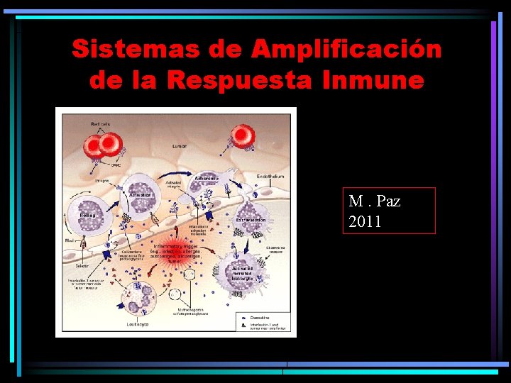 Sistemas de Amplificación de la Respuesta Inmune M. Paz 2011 