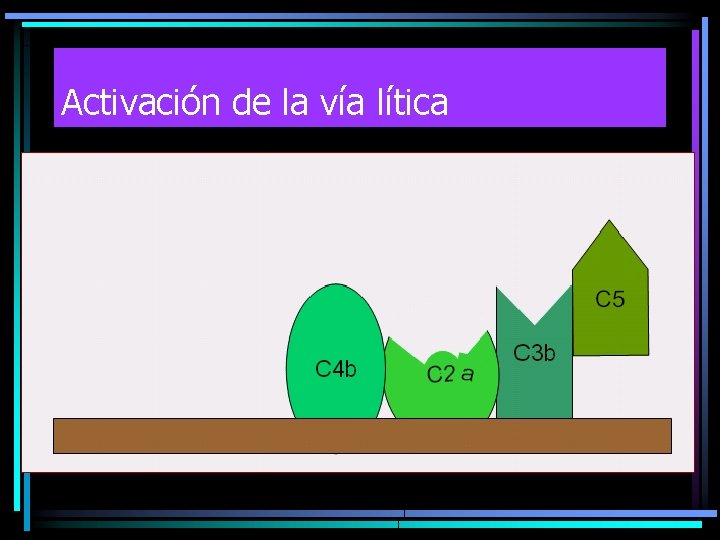 Activación de la vía lítica 