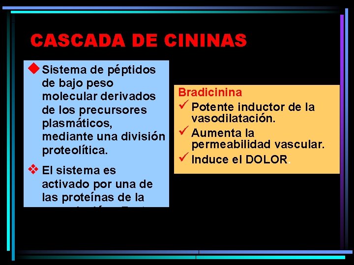 CASCADA DE CININAS u. Sistema de péptidos de bajo peso molecular derivados de los