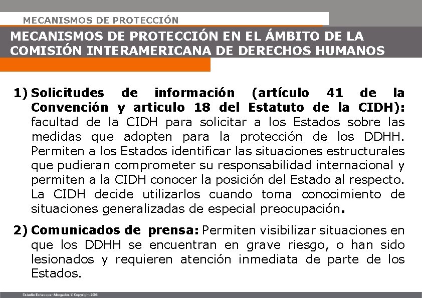 MECANISMOS DE PROTECCIÓN EN EL ÁMBITO DE LA COMISIÓN INTERAMERICANA DE DERECHOS HUMANOS 1)