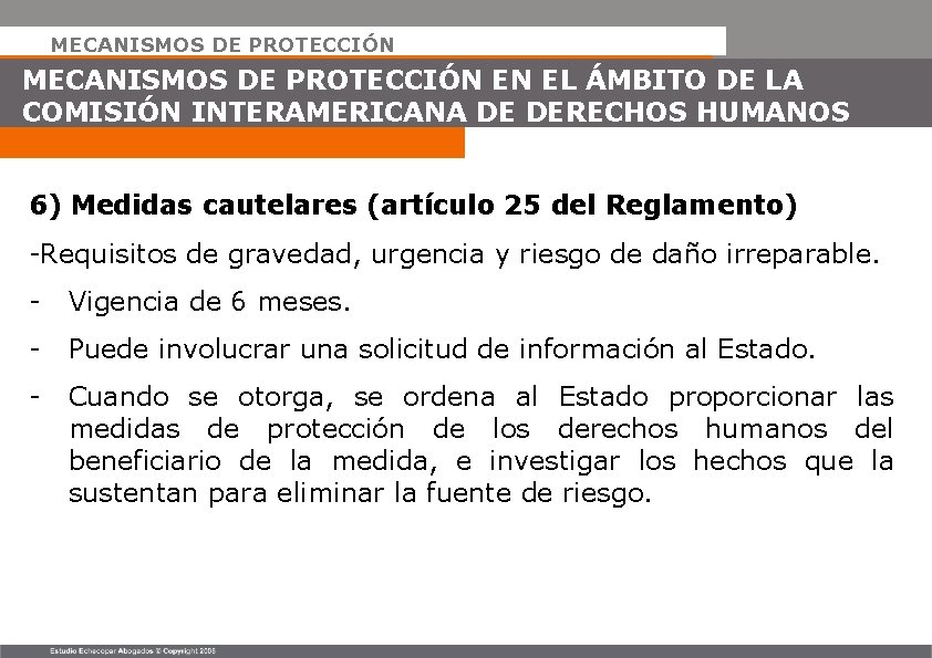 MECANISMOS DE PROTECCIÓN EN EL ÁMBITO DE LA COMISIÓN INTERAMERICANA DE DERECHOS HUMANOS 6)