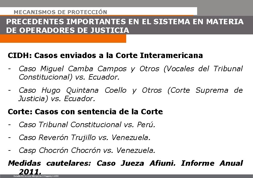 MECANISMOS DE PROTECCIÓN PRECEDENTES IMPORTANTES EN EL SISTEMA EN MATERIA DE OPERADORES DE JUSTICIA