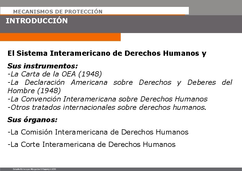 MECANISMOS DE PROTECCIÓN INTRODUCCIÓN El Sistema Interamericano de Derechos Humanos y Sus instrumentos: -La
