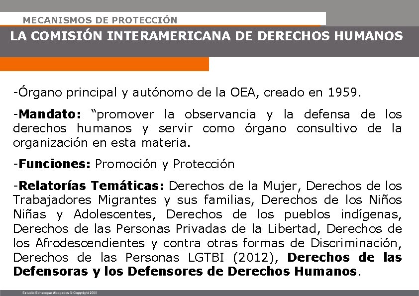 MECANISMOS DE PROTECCIÓN LA COMISIÓN INTERAMERICANA DE DERECHOS HUMANOS -Órgano principal y autónomo de