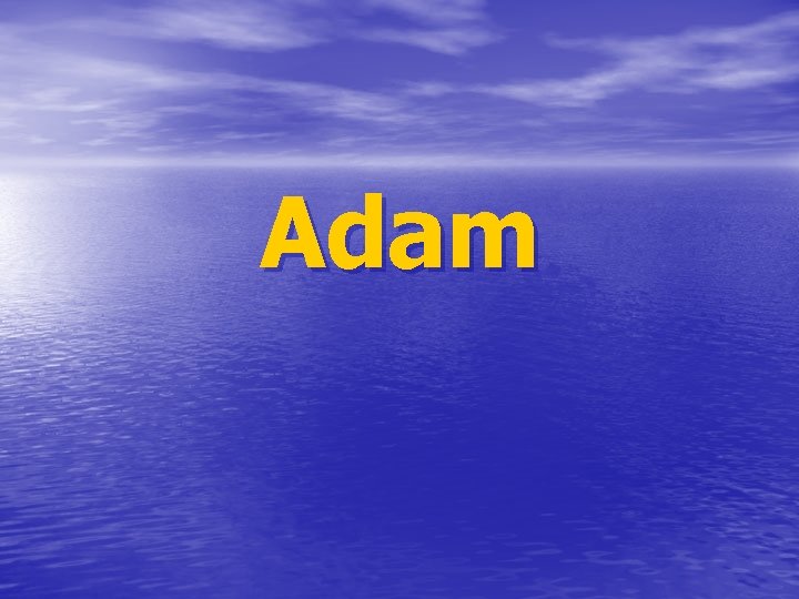 Adam 