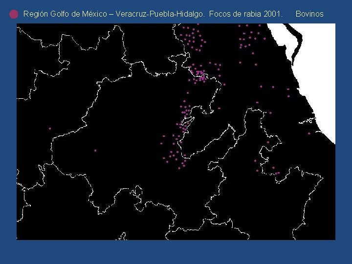 Región Golfo de México – Veracruz-Puebla-Hidalgo. Focos de rabia 2001. Bovinos Región Golfo de México – Veracruz-Puebla-Hidalgo. Focos de rabia 2001. Bovinos
