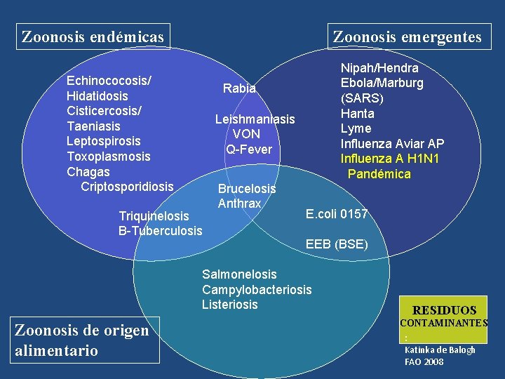 Zoonosis endémicas Zoonosis emergentes Echinococosis/ Hidatidosis Cisticercosis/ Taeniasis Leptospirosis Toxoplasmosis Chagas Criptosporidiosis Nipah/Hendra Ebola/Marburg Zoonosis endémicas Zoonosis emergentes Echinococosis/ Hidatidosis Cisticercosis/ Taeniasis Leptospirosis Toxoplasmosis Chagas Criptosporidiosis Nipah/Hendra Ebola/Marburg