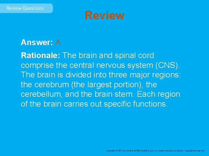 Review Answer: A Rationale: The brain and spinal cord comprise the central nervous system