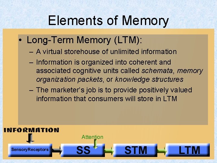 Elements of Memory • Long-Term Memory (LTM): – A virtual storehouse of unlimited information