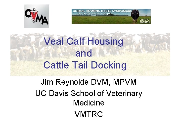 Veal Calf Housing Managing Transition Dairy and Cows Cattle Tail Docking Jim Reynolds DVM,