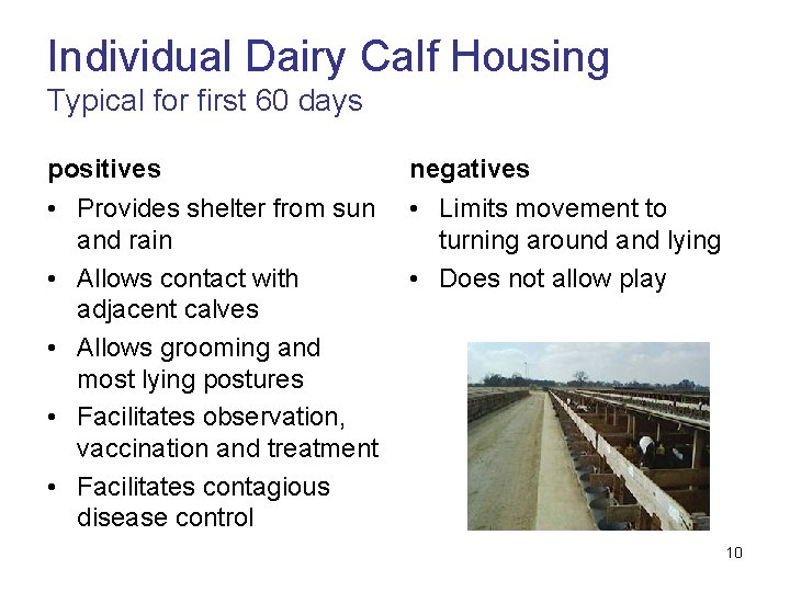 Individual Dairy Calf Housing Typical for first 60 days positives negatives • Provides shelter