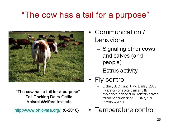 “The cow has a tail for a purpose” • Communication / behavioral – Signaling